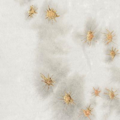 Art Print, , small