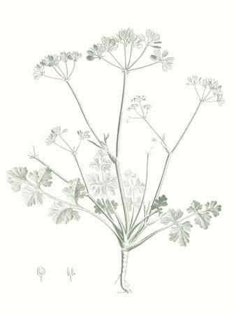 Art Print, , small