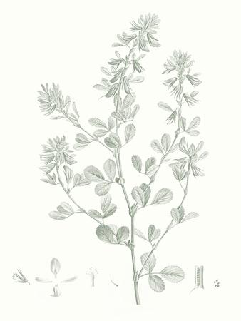 Art Print, , small