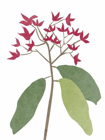Art Print, , small
