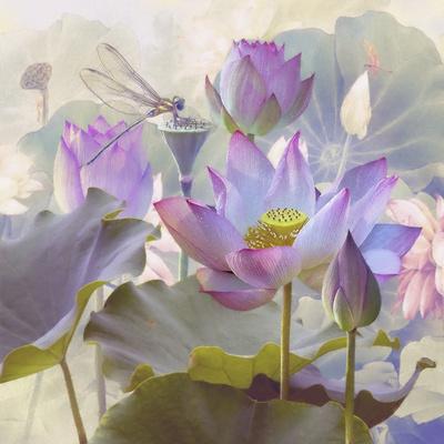 Art Print, , small