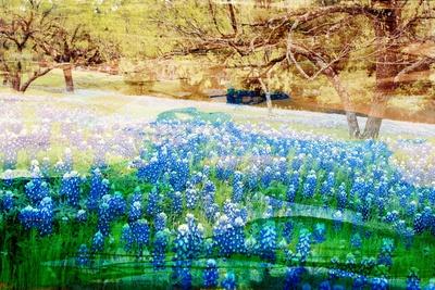 Art Print, , small