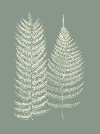 Art Print, , small