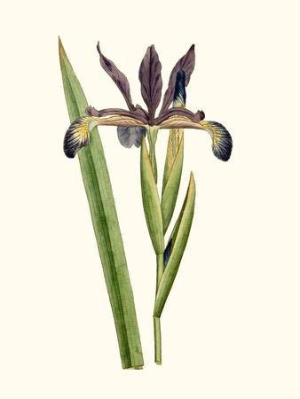 Art Print, , small