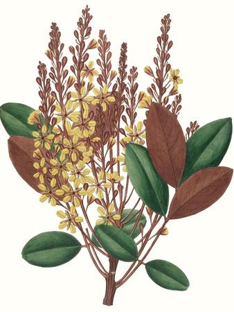 Art Print, , small