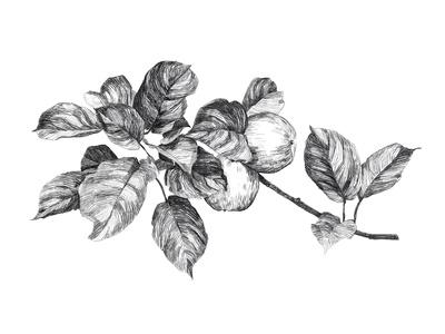 Art Print, , small