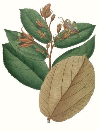 Art Print, , small