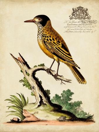 Art Print, , small