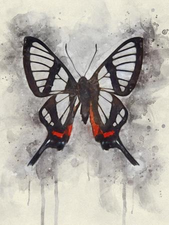 Art Print, , small