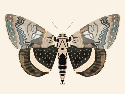Art Print, , small