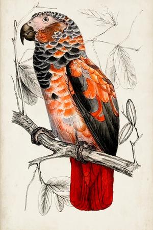 Art Print, , small