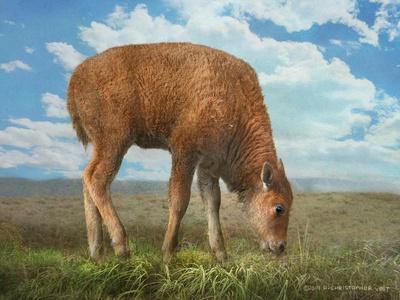 Art Print, , small
