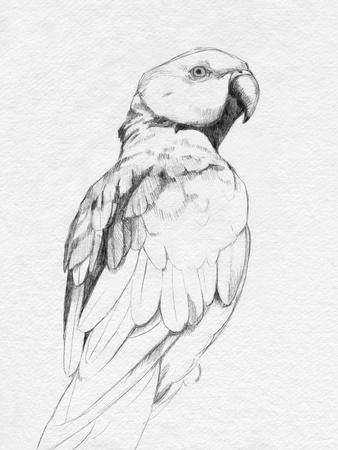 Art Print, , small
