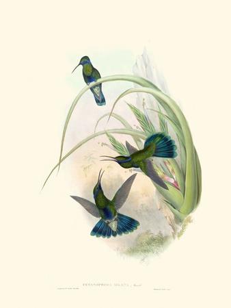 Art Print, , small