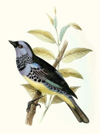 Art Print, , small