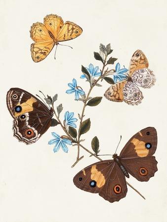 Art Print, , small