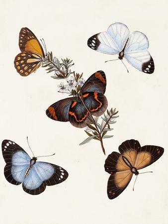 Art Print, , small
