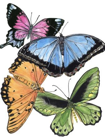 Art Print, , small