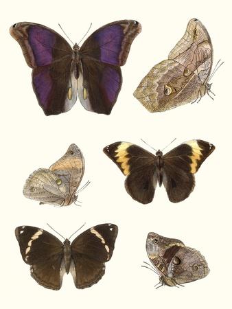 Art Print, , small