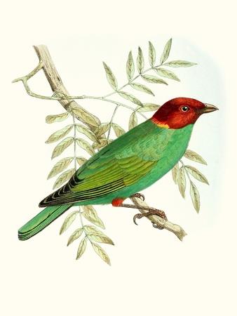 Art Print, , small