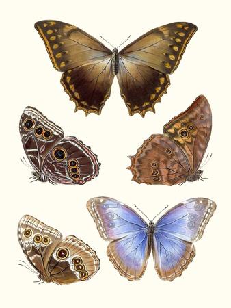 Art Print, , small