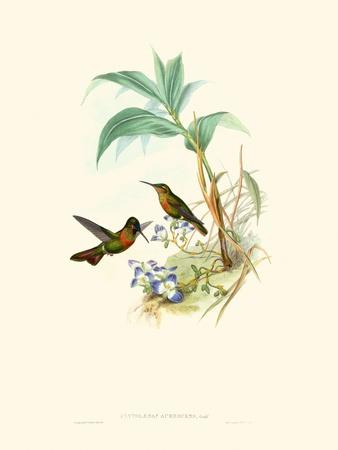 Art Print, , small