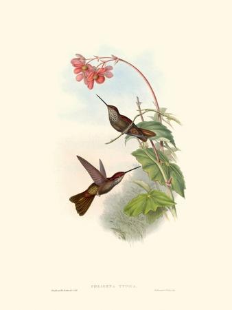 Art Print, , small