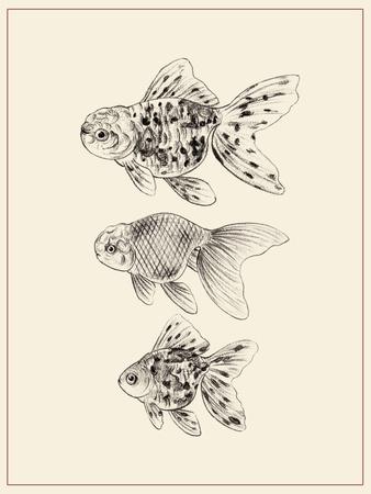 Art Print, , small