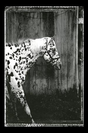 Art Print, , small