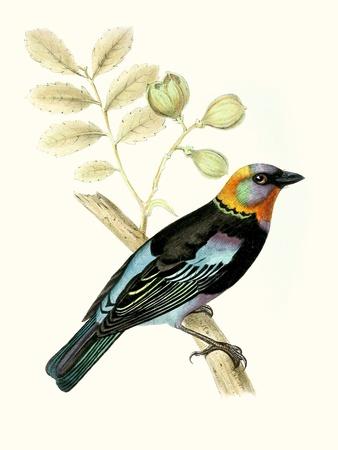 Art Print, , small