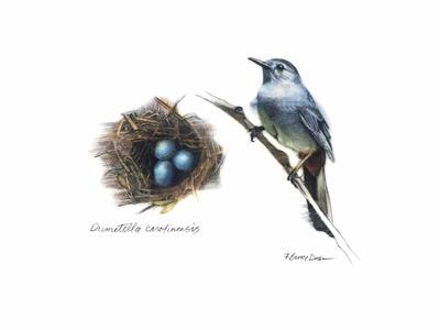 Art Print, , small