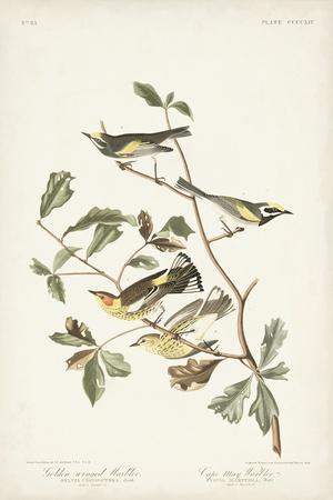 Art Print, , small