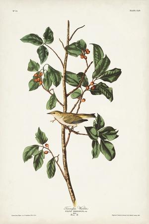 Art Print, , small