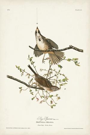 Art Print, , small