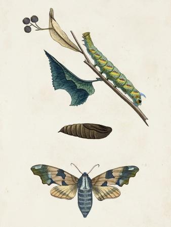 Art Print, , small