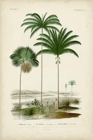 Art Print, , small