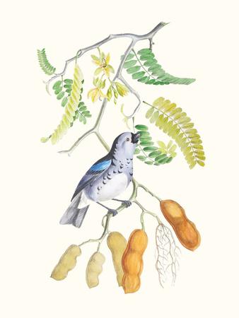 Art Print, , small