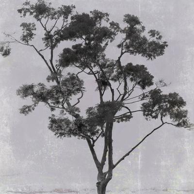 Photographic Print, , small