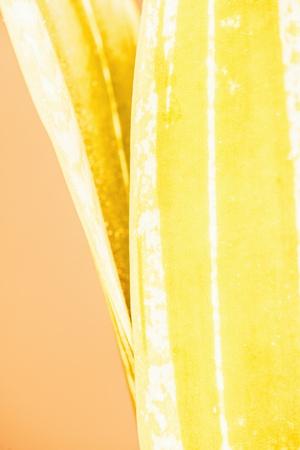 Photographic Print, , small
