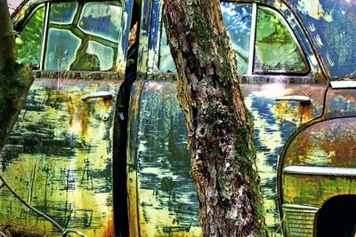 Photographic Print, , small