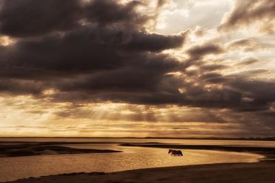 Photographic Print, , small