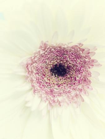 Photographic Print, , small