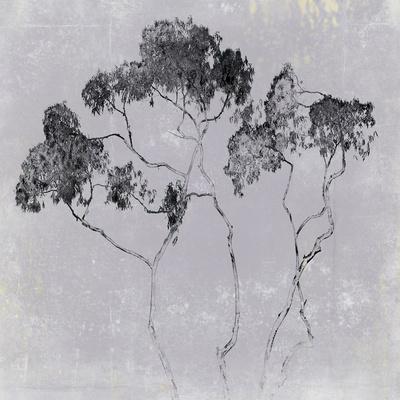 Photographic Print, , small