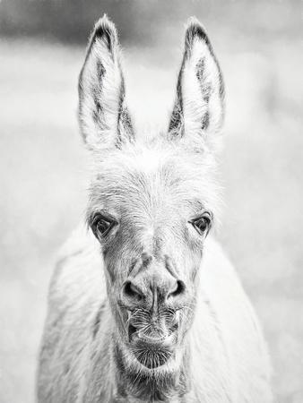 Photographic Print, , small