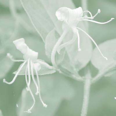 Photographic Print, , small