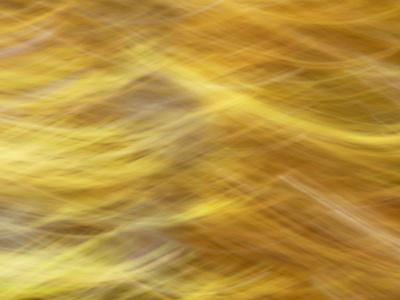 Photographic Print, , small