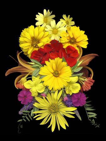 Photographic Print, , small