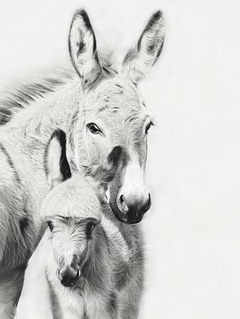 Photographic Print, , small