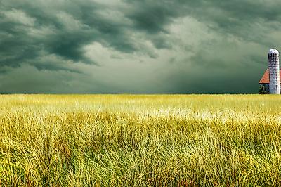 Photographic Print, , small