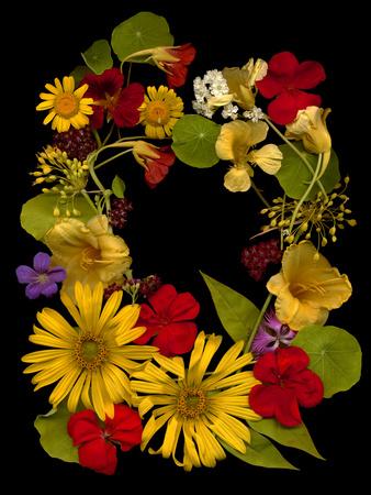 Photographic Print, , small